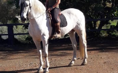 DANUBIO – Adopted