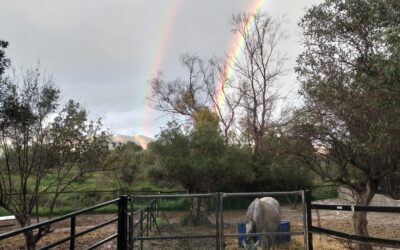 ARCH Newsletter March 2026