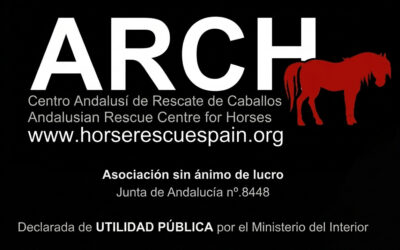 RECOGNITION FOR YEARS OF EFFORT