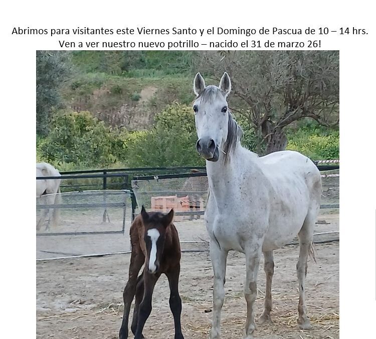 Victoria + Lucero