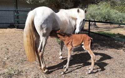 HAPPINESS AND HEARTBREAK