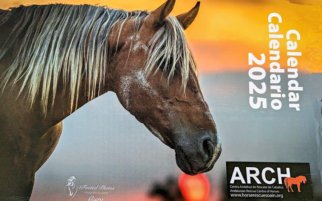 ARCH CALENDAR 2025
