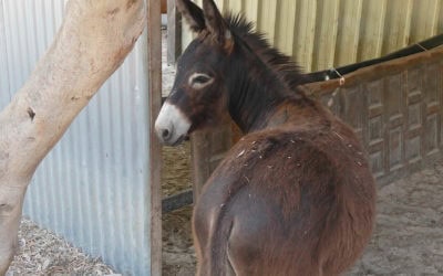 Welcome Bonnie and Clyde