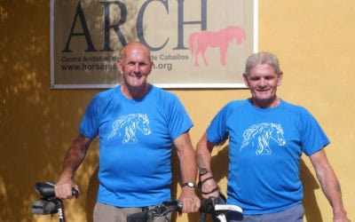 Two wheels to help four hooves!