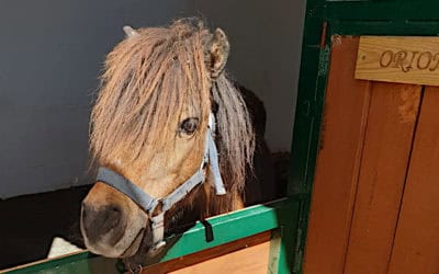 Dusty’s progress