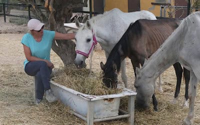 SLOWLY, SLOWLY …….