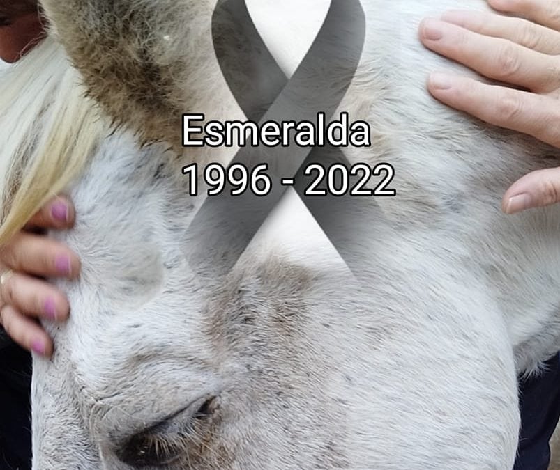 R.I.P. ESMERALDA