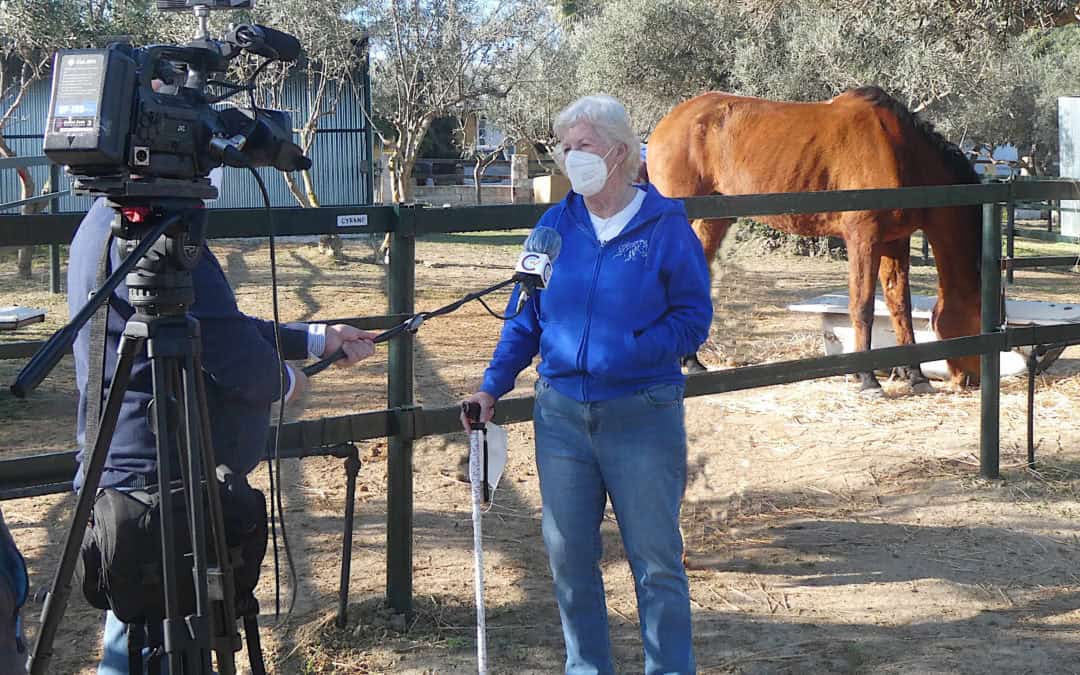 TELEVISION STARS!