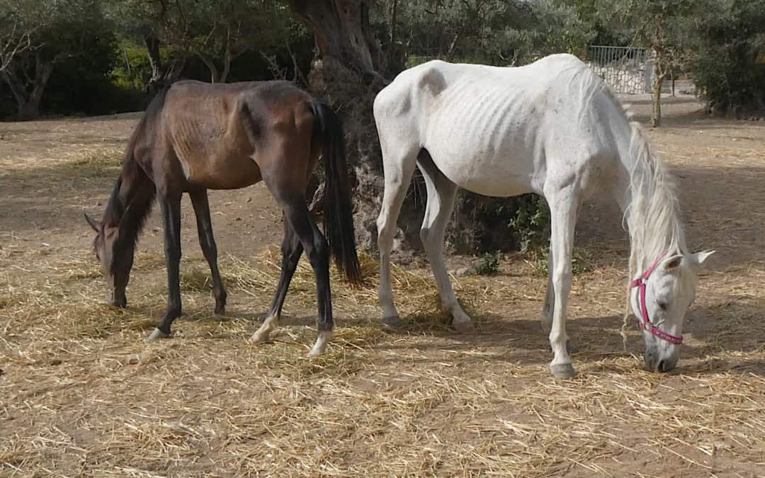 MOTHER AND DAUGHTER