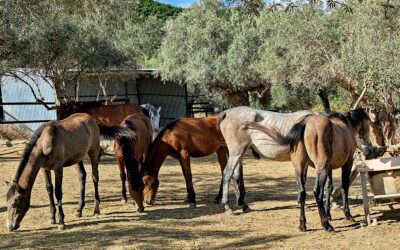 A NIGHT TO REMEMBER!