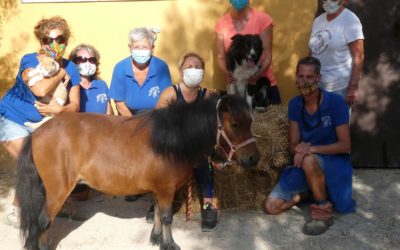 Meet our new Mascot!