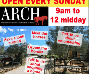 Arch Open Every Sunday Morning 9am to 12midday. New for 2019