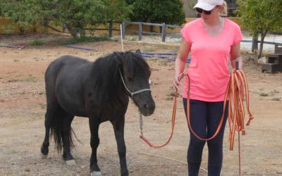 Teaching our volunteers
