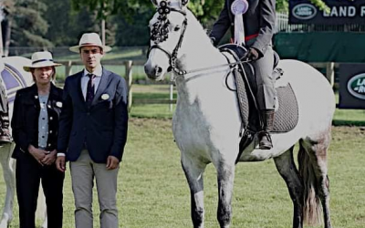 Sausage – Competes at The Royal Windsor Horse Show .