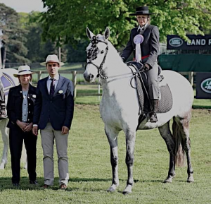 Sausage – Competes at The Royal Windsor Horse Show .
