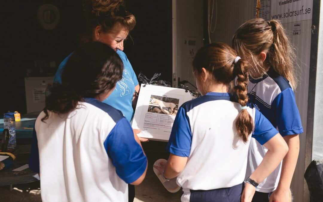 LEARNING FOR THE FUTURE