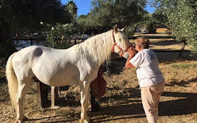 Latest news (August)