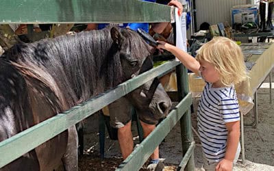 Sunday open mornings are back!
