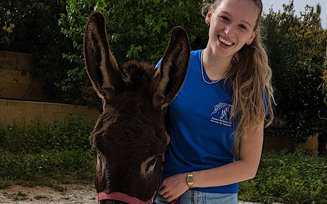 A DONKEY DREAM COME TRUE